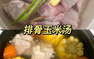 电饭锅炖排骨汤 电饭煲炖汤排骨汤一般要多久？