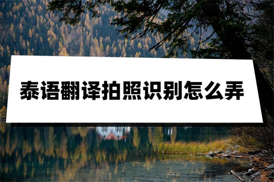 泰语翻译拍照识别怎么弄？这几个方法太实用了