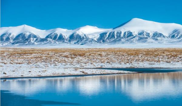 这里是太阳系的另一个生命乐园，地球之外的生物或许是这个样子